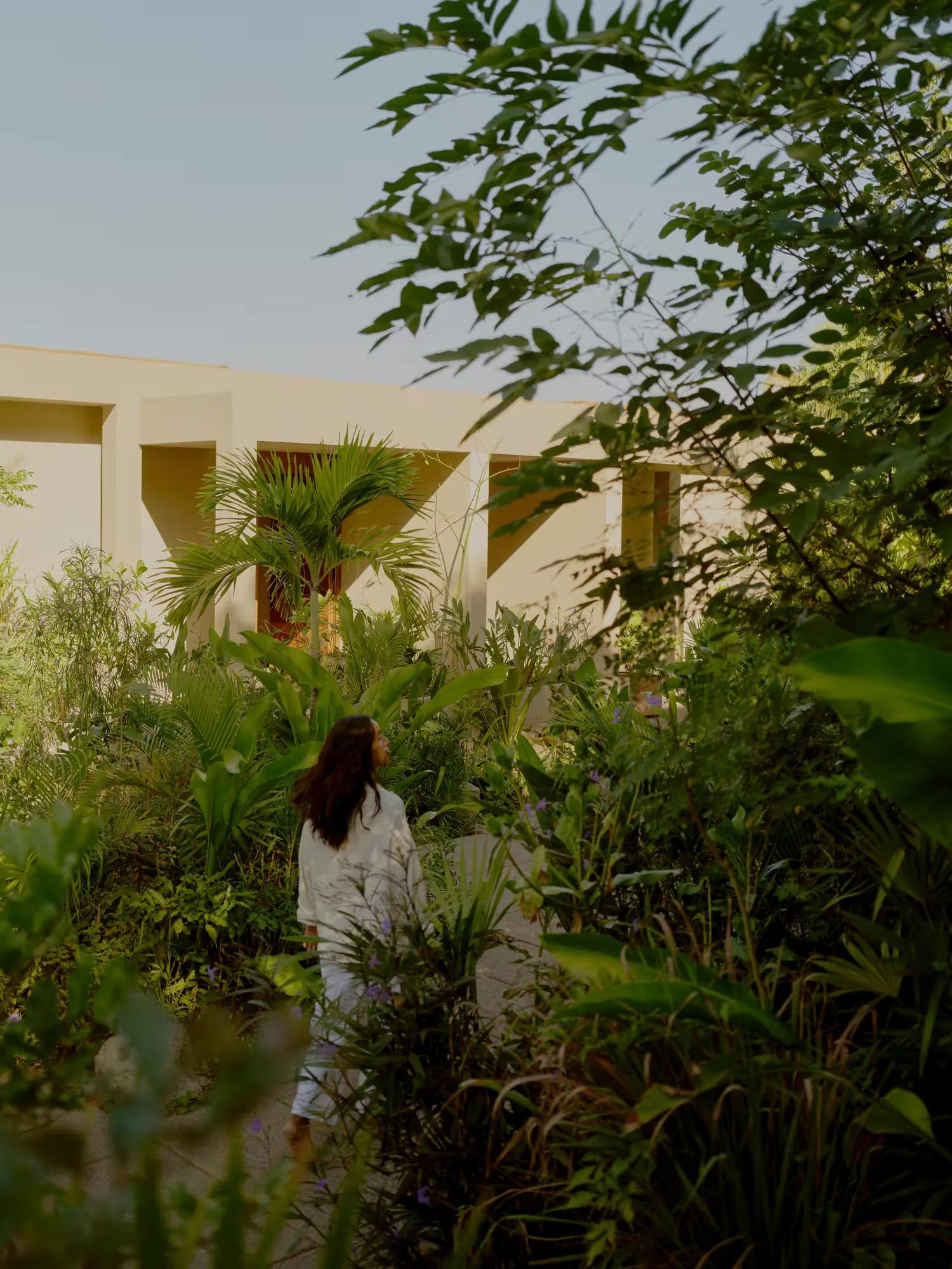 Rosewood Mandarina luxury Mexico Resort