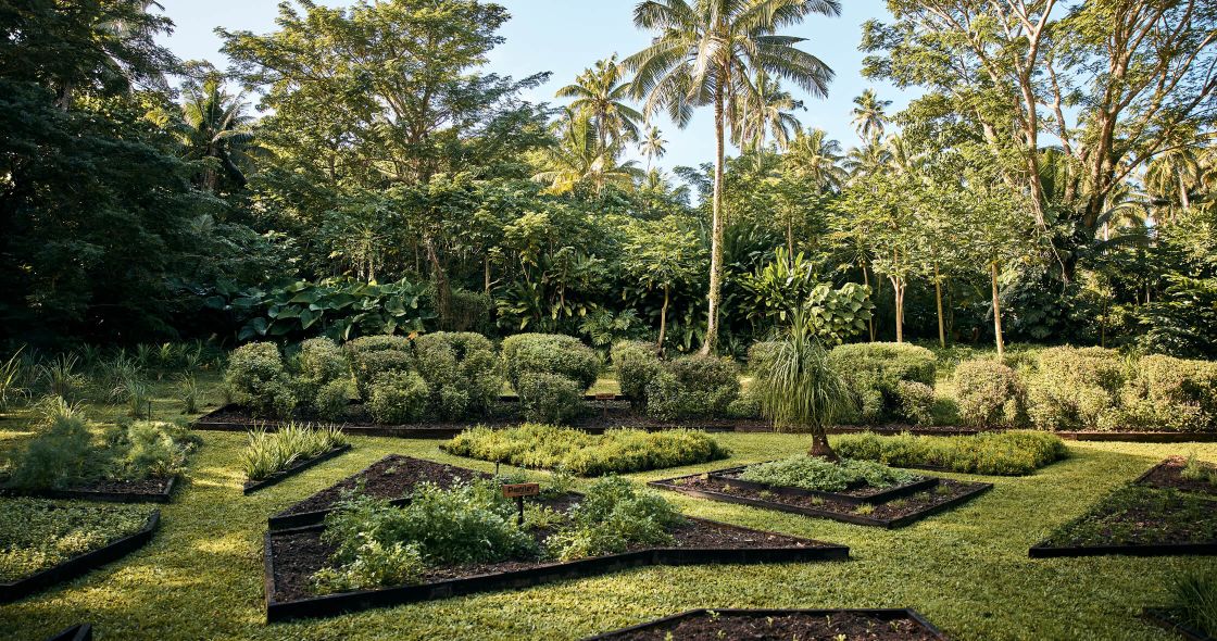 Como Laucala Fiji Farm wellness focus