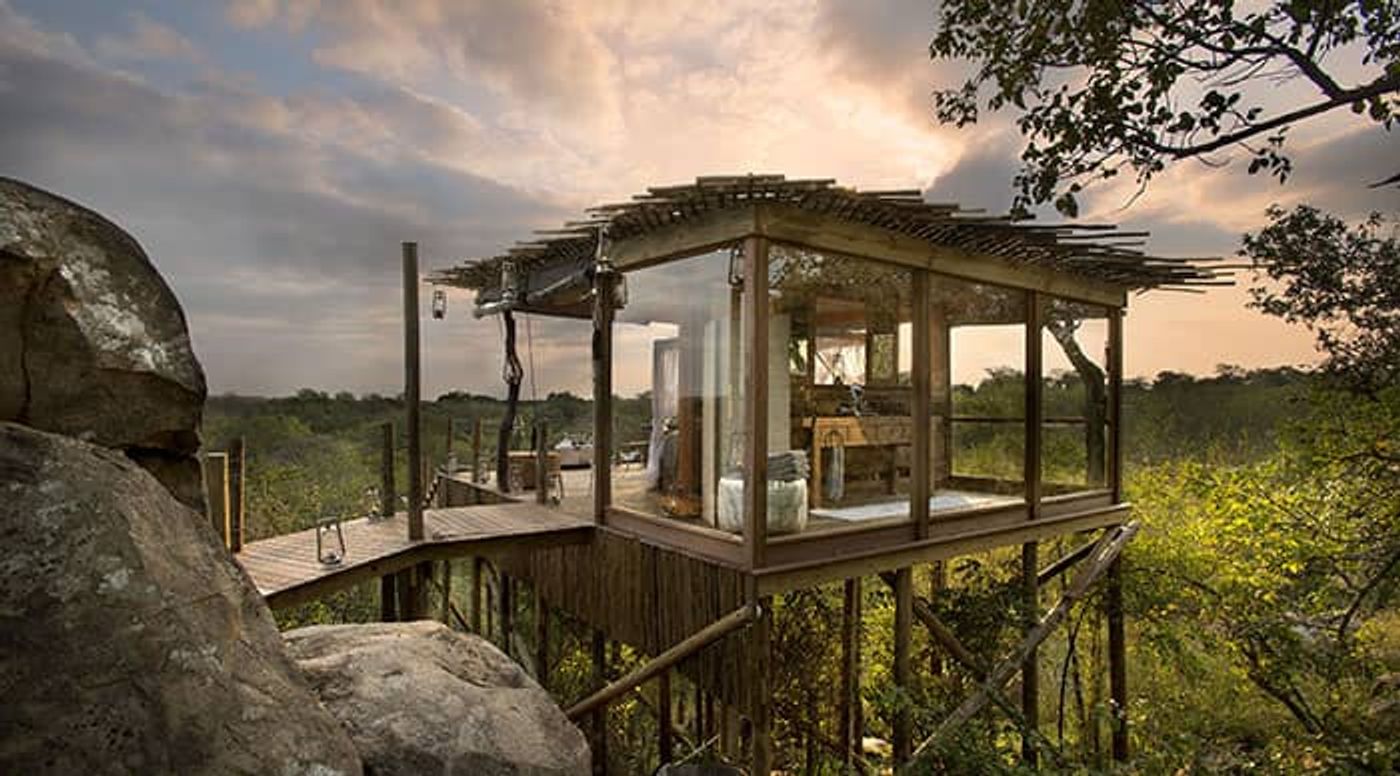 Kingston Treehouse Lion Sands Reserve