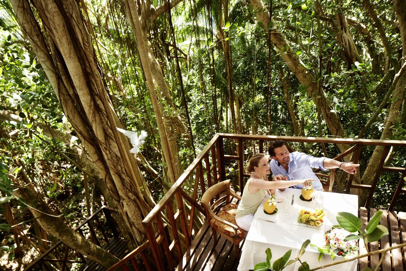 Fregate Island Seychelles Private Jungle dining