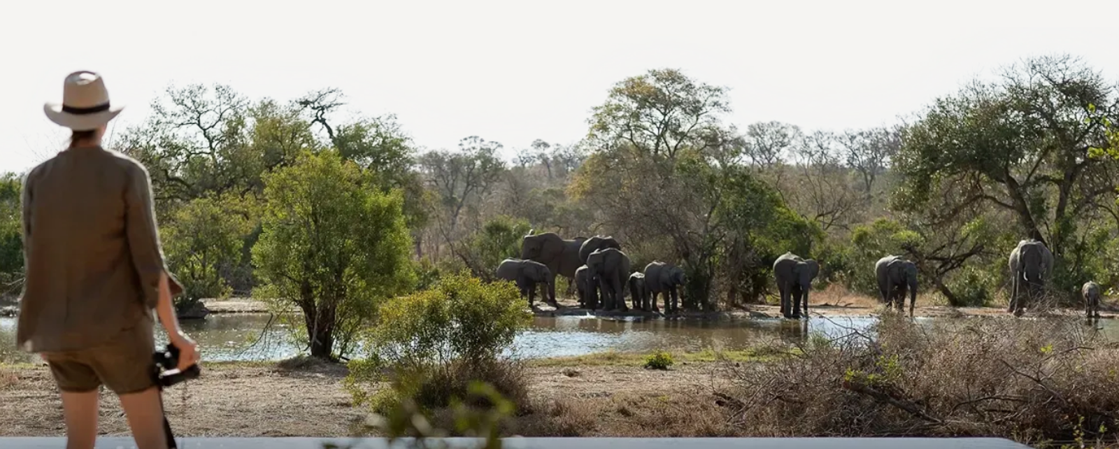 South Africa: The One Trip Couples Keep Meaning to Take