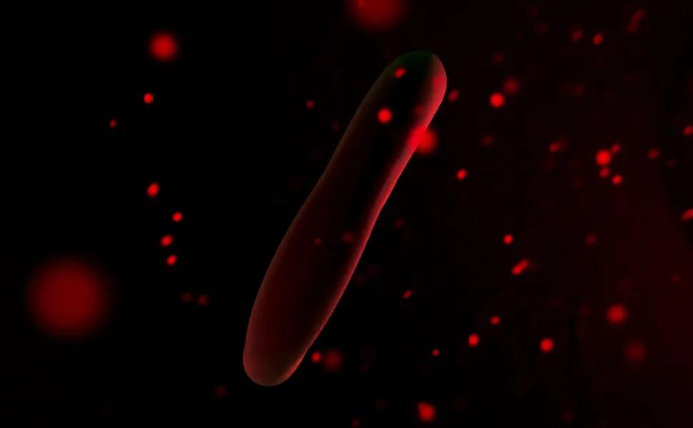 Red Blood Cells Scientific Test