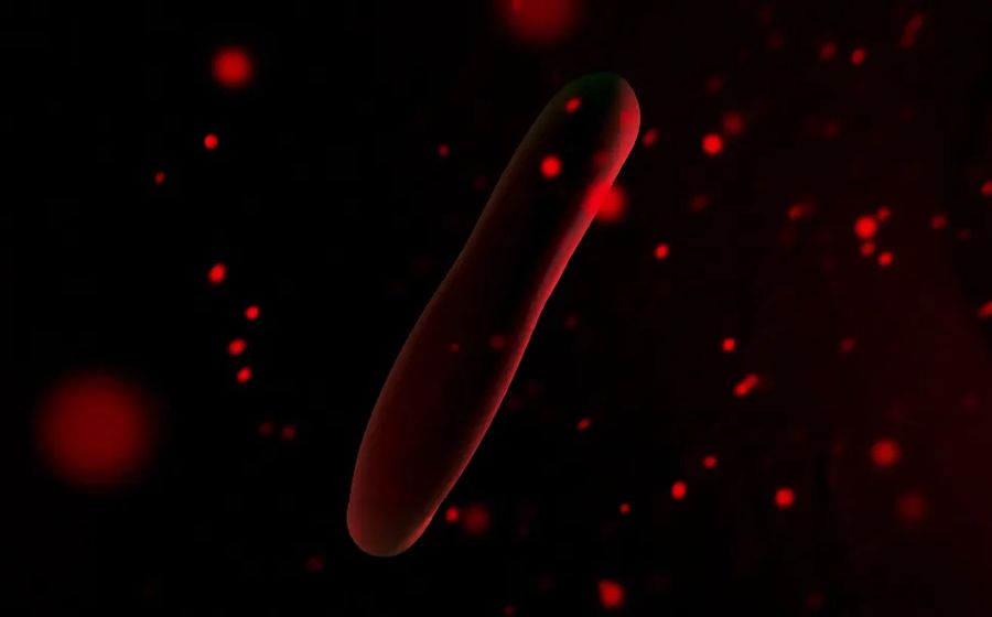 Red Blood Cells Scientific Test
