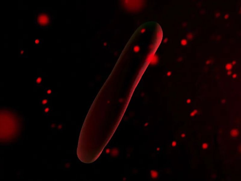 Red Blood Cells Scientific Test