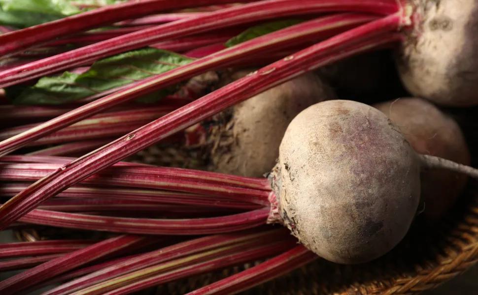 Organic Beetroot Close Up Shot