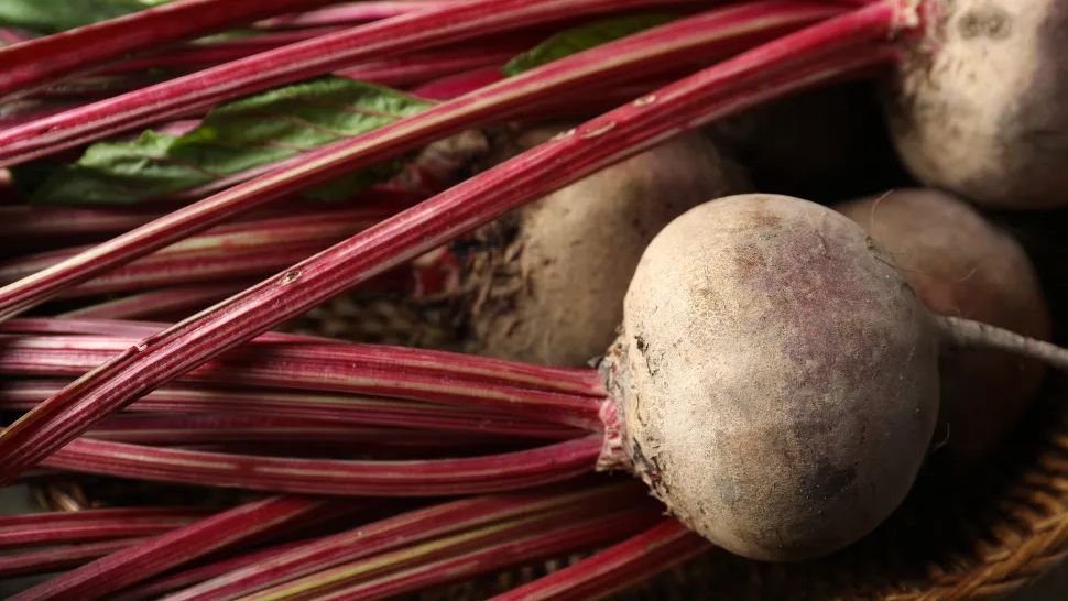 Organic Beetroot Close Up Shot