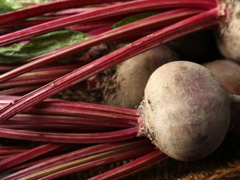 Organic Beetroot Close Up Shot