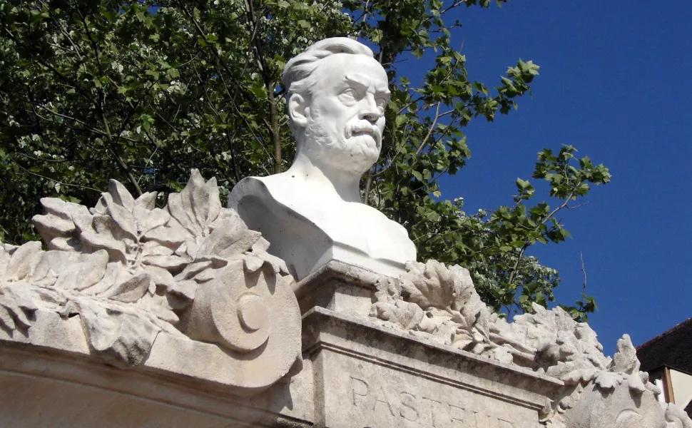 Stone Structure of Louis Pasteur 