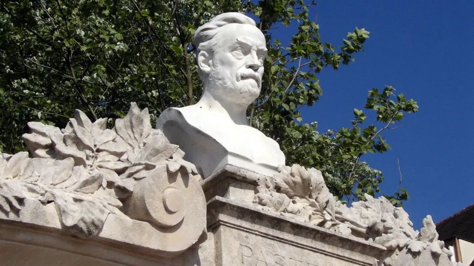 Stone Structure of Louis Pasteur