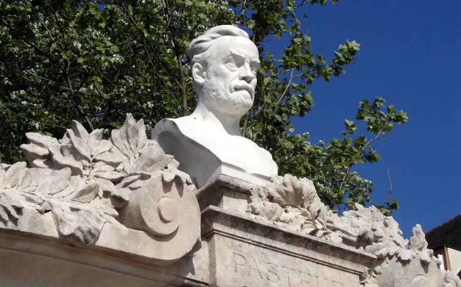 Stone Structure of Louis Pasteur