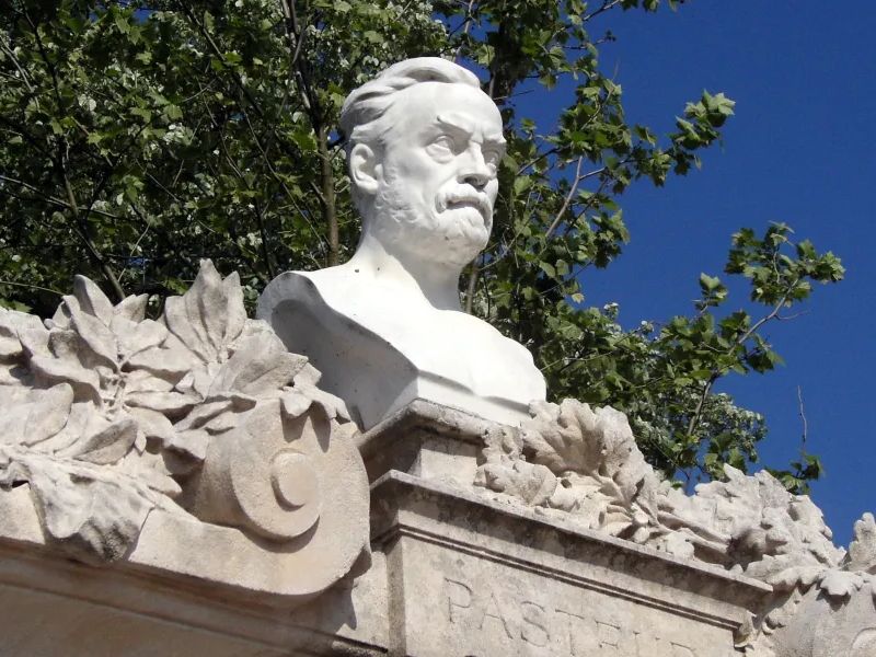 Stone Structure of Louis Pasteur