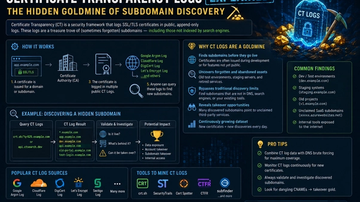 Certificate Transparency Logs Explained: The Hidden Goldmine of Subdomain Discovery