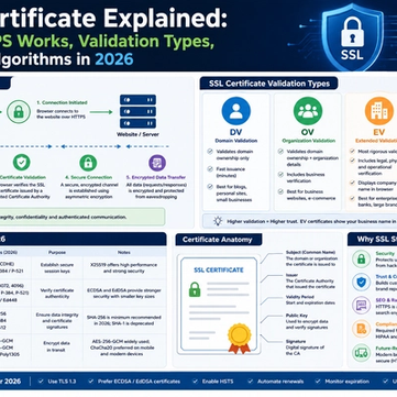 SSL Certificate Explained: How HTTPS Works, Validation Types, and Key Algorithms in 2026