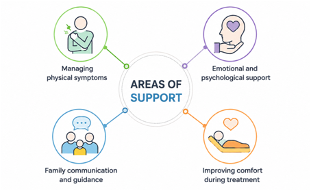 palliative care treatment - areas to support