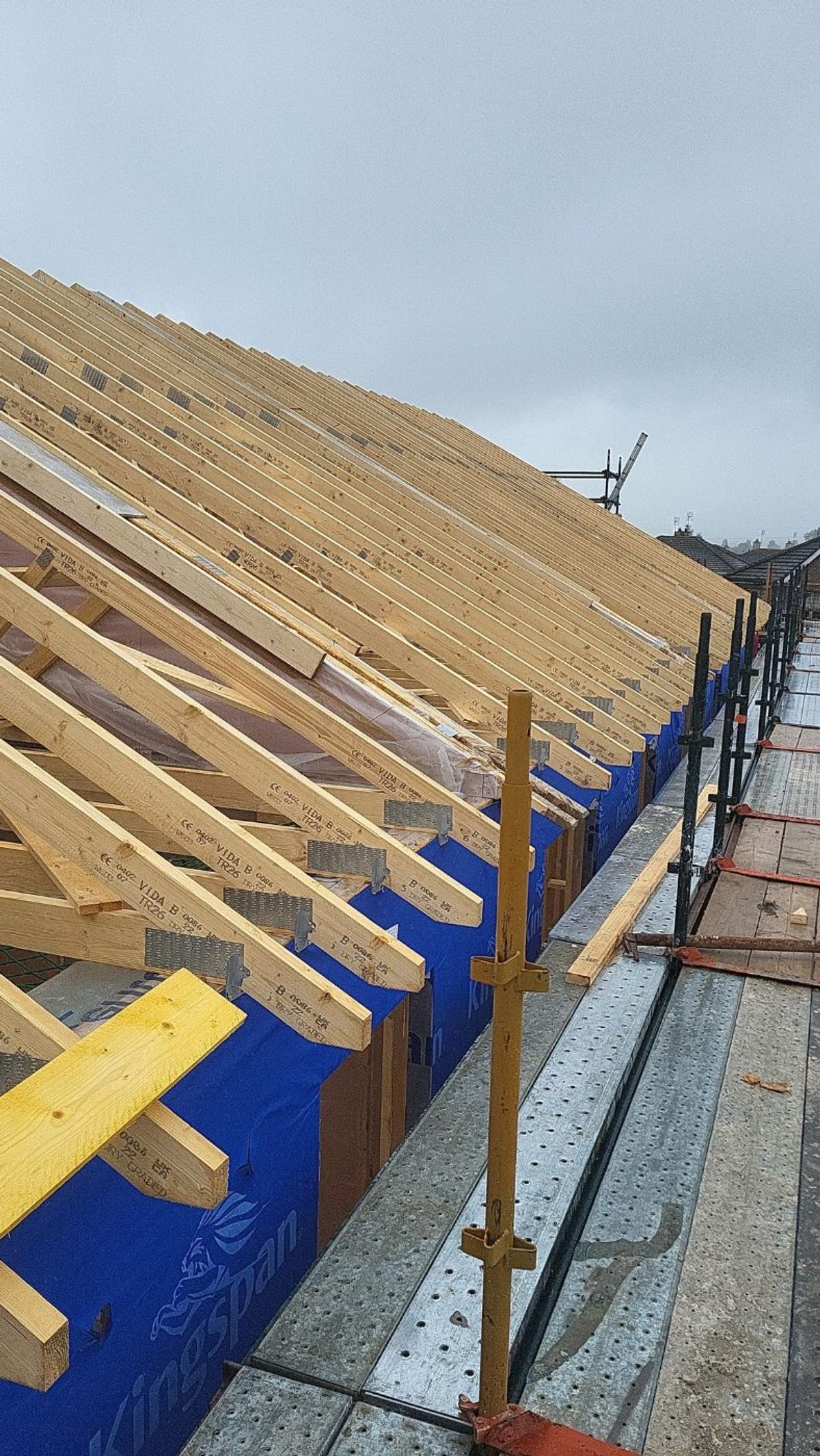 Cut Roof & Trusses — building by Reilly