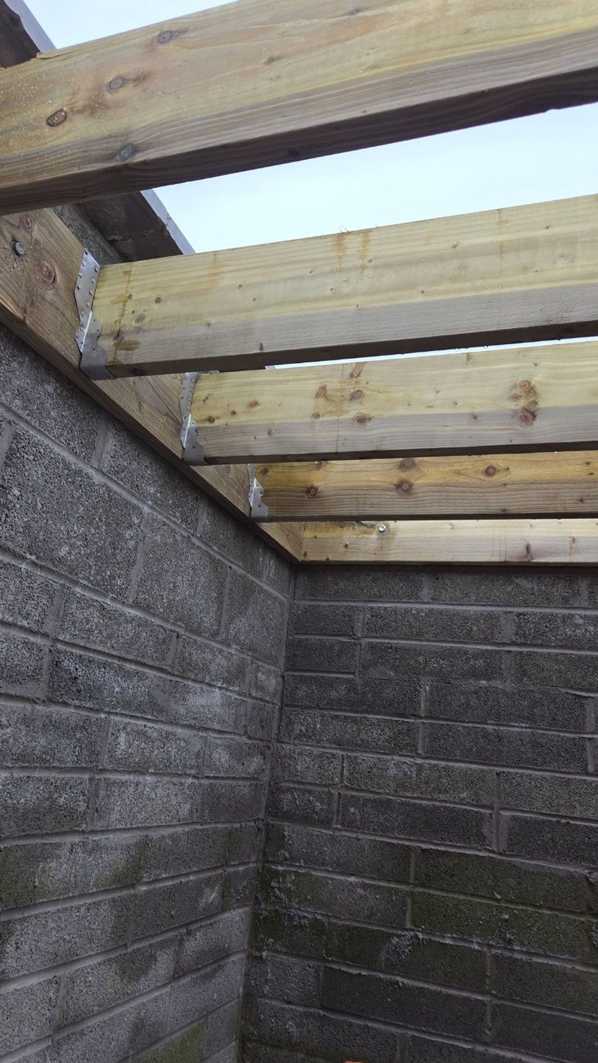 Pergola Structure — building by Reilly