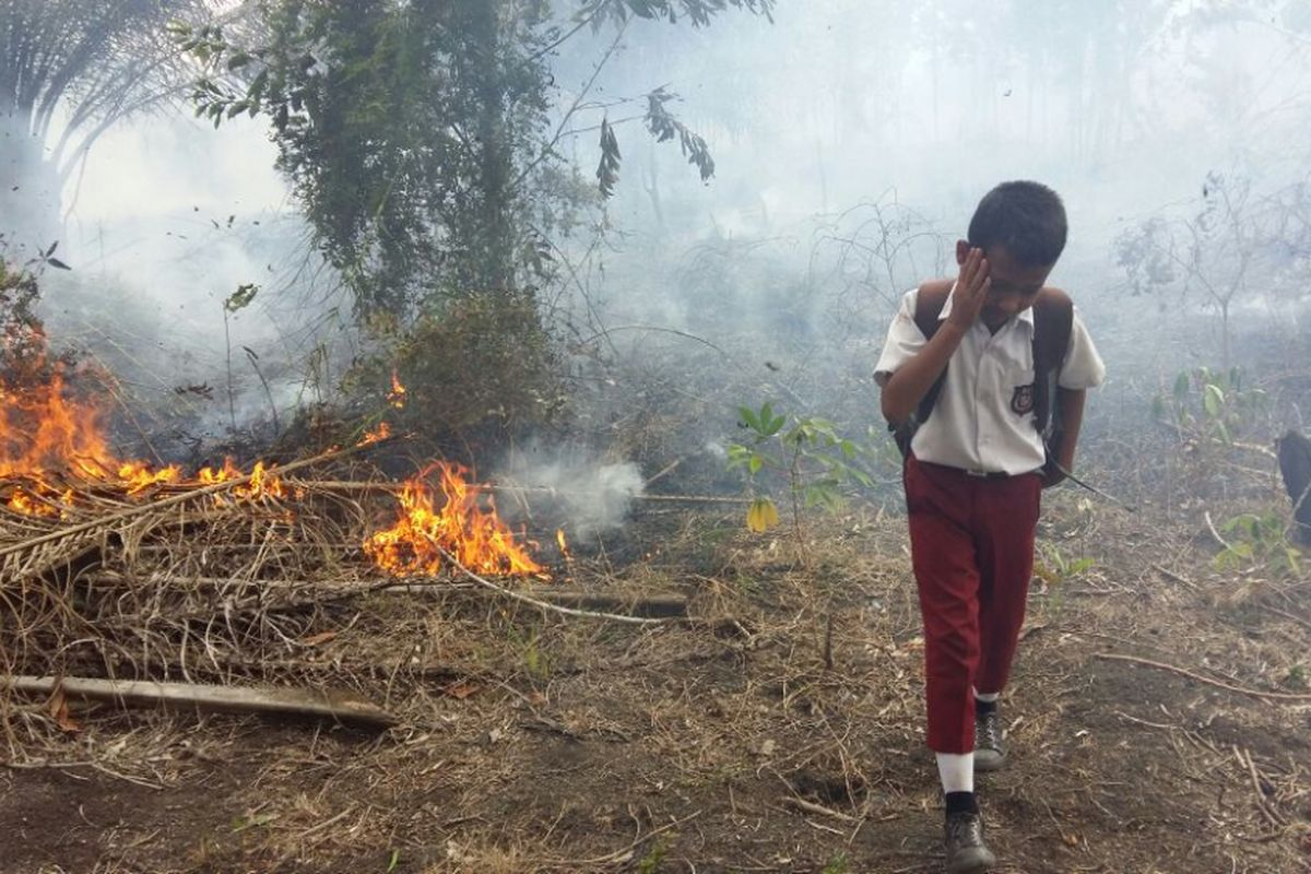 Disdik Haruskan Siswa Masuk Sekolah Meski Dalam Kondisi Buruk Akibat Karhutla, Ini Respon Mendikdasmen