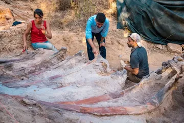 Salah Satu Kawasan di Eropa Ini Menyimpan Banyak Fosil Dinosaurus, Hingga Ada Yang Dalam Kondisi Hampir Utuh