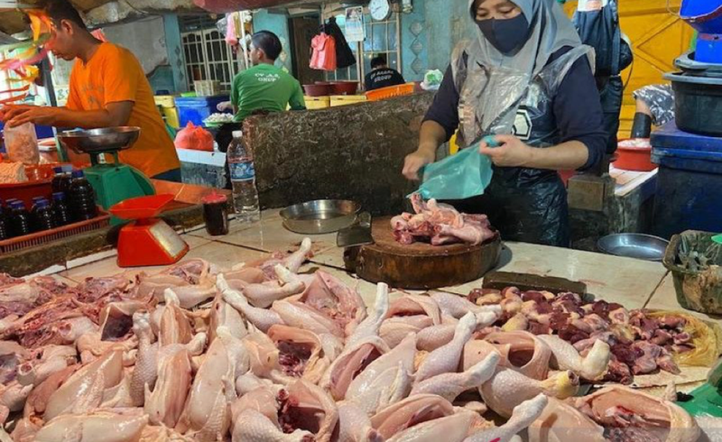 Harga Ayam Meningkat Tinggi, Daya Beli Melemah