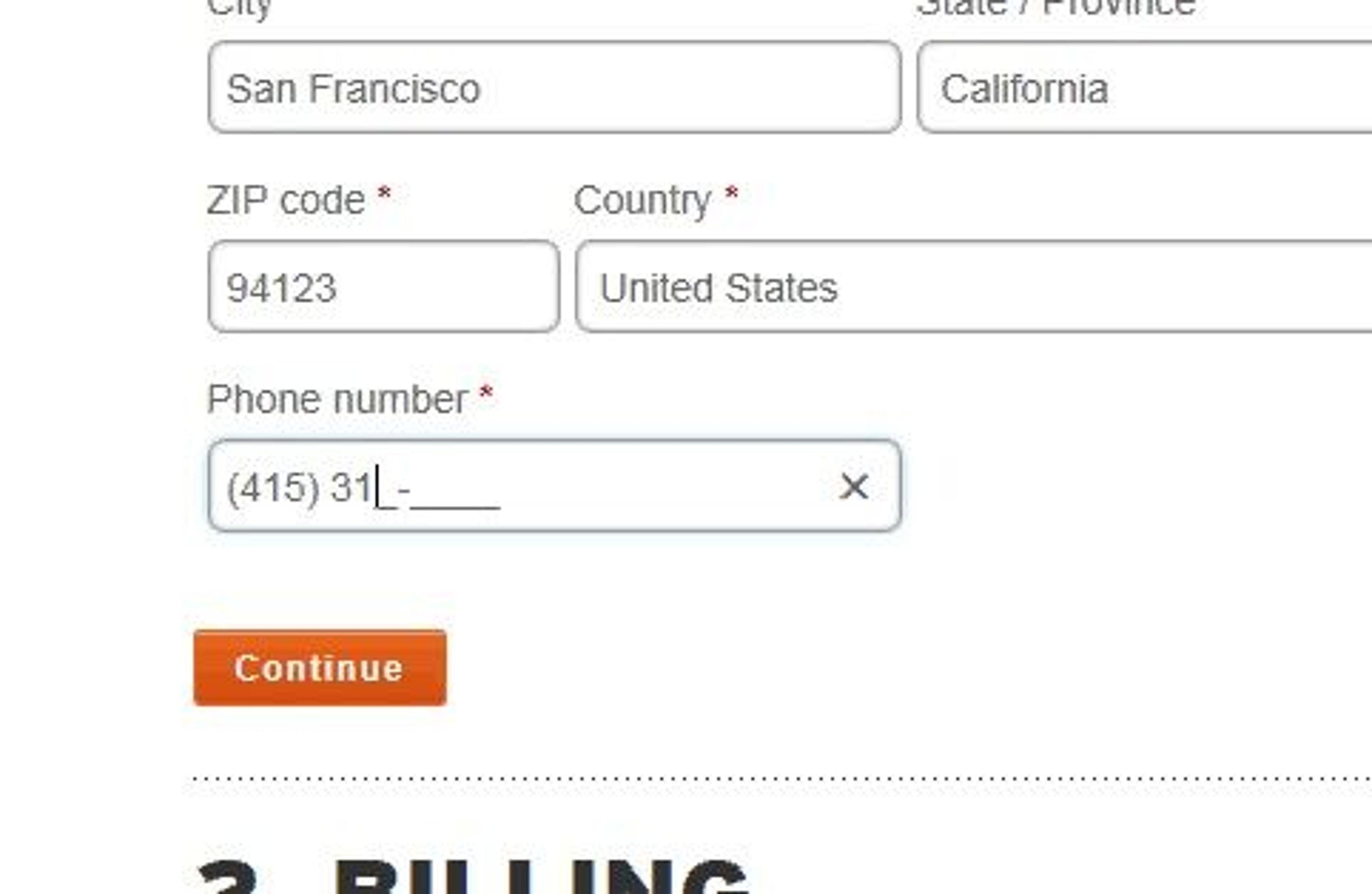 REI checkout form showing input masks to help users correctly input information