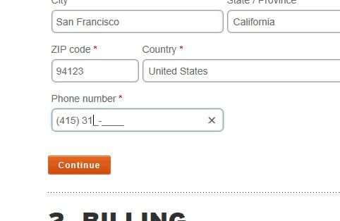 REI checkout form showing input masks to help users correctly input information