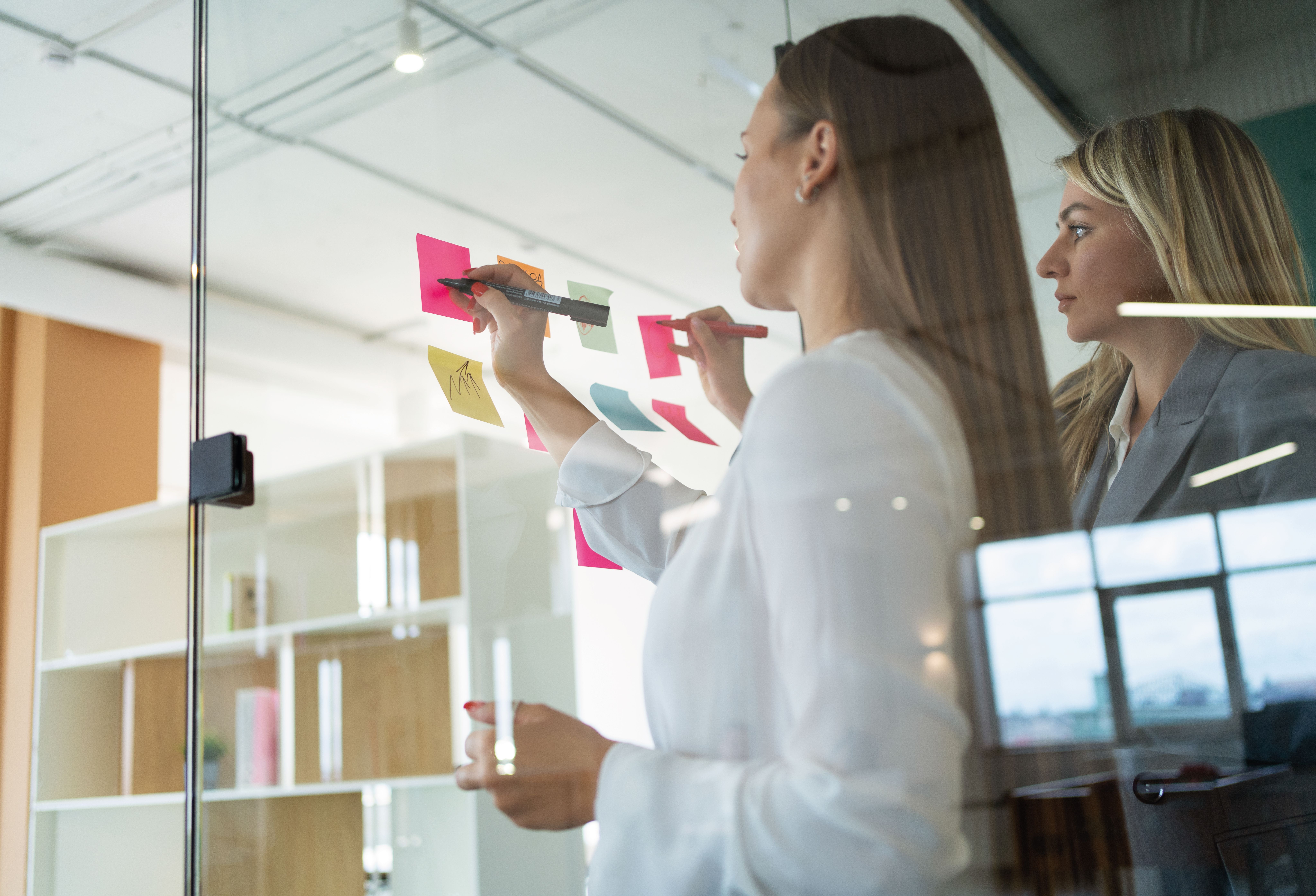 Salidas profesionales