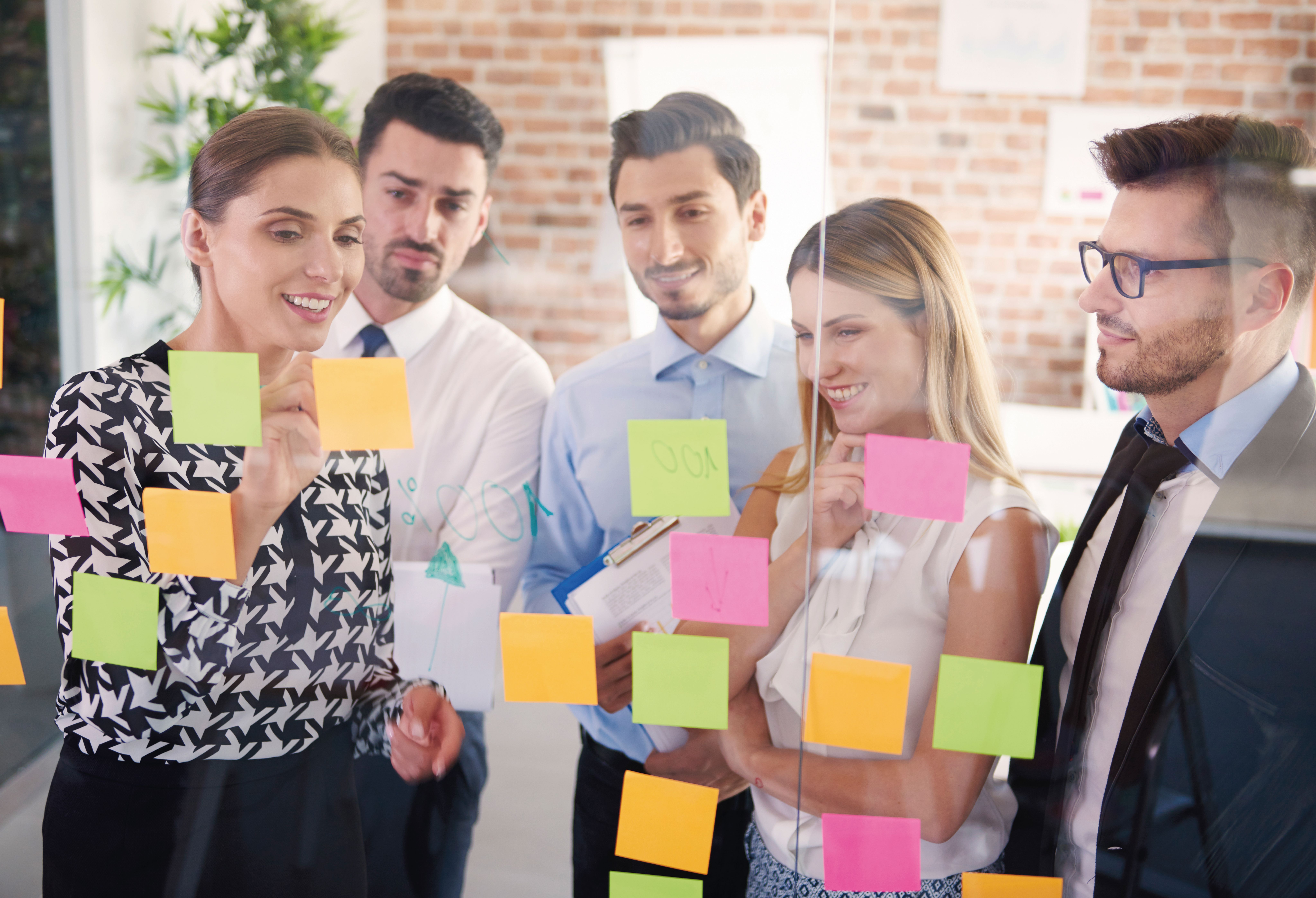 Aplicación Profesional