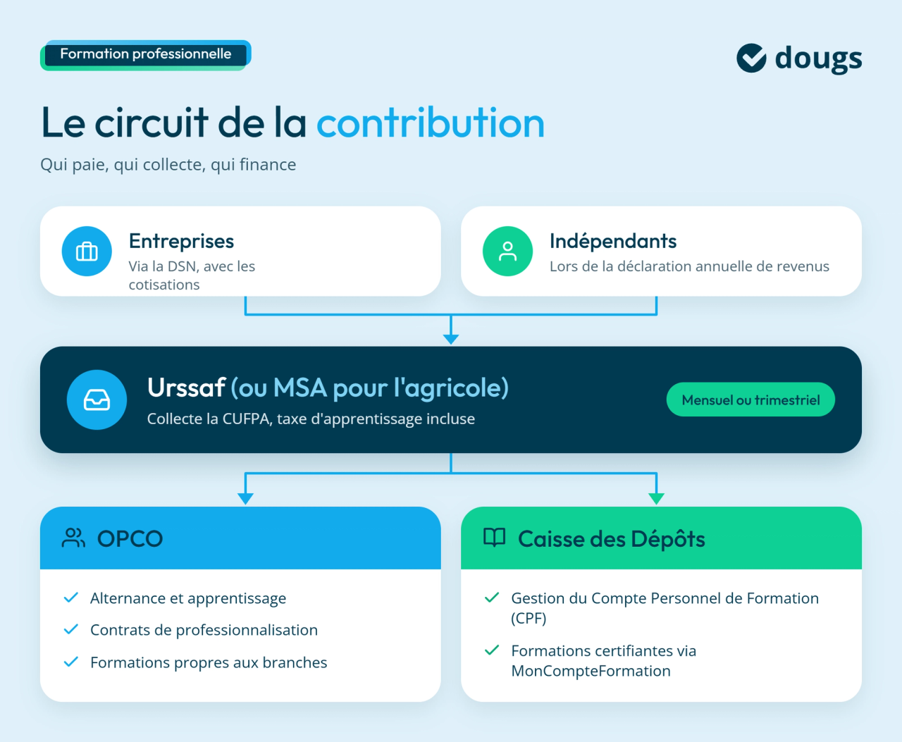infographie : circuit de la contribution