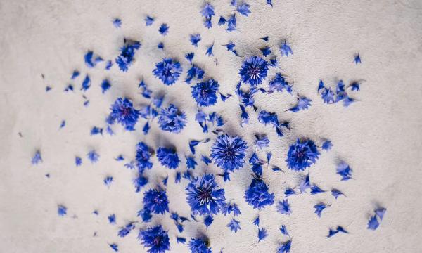 Tout savoir sur le bilan de dissolution d'une société