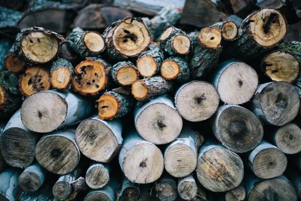 Kinésithérapeute : bien choisir le statut de votre association