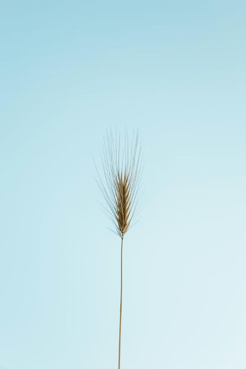 Président de SASU : 5 choses à savoir avant de vous verser un salaire