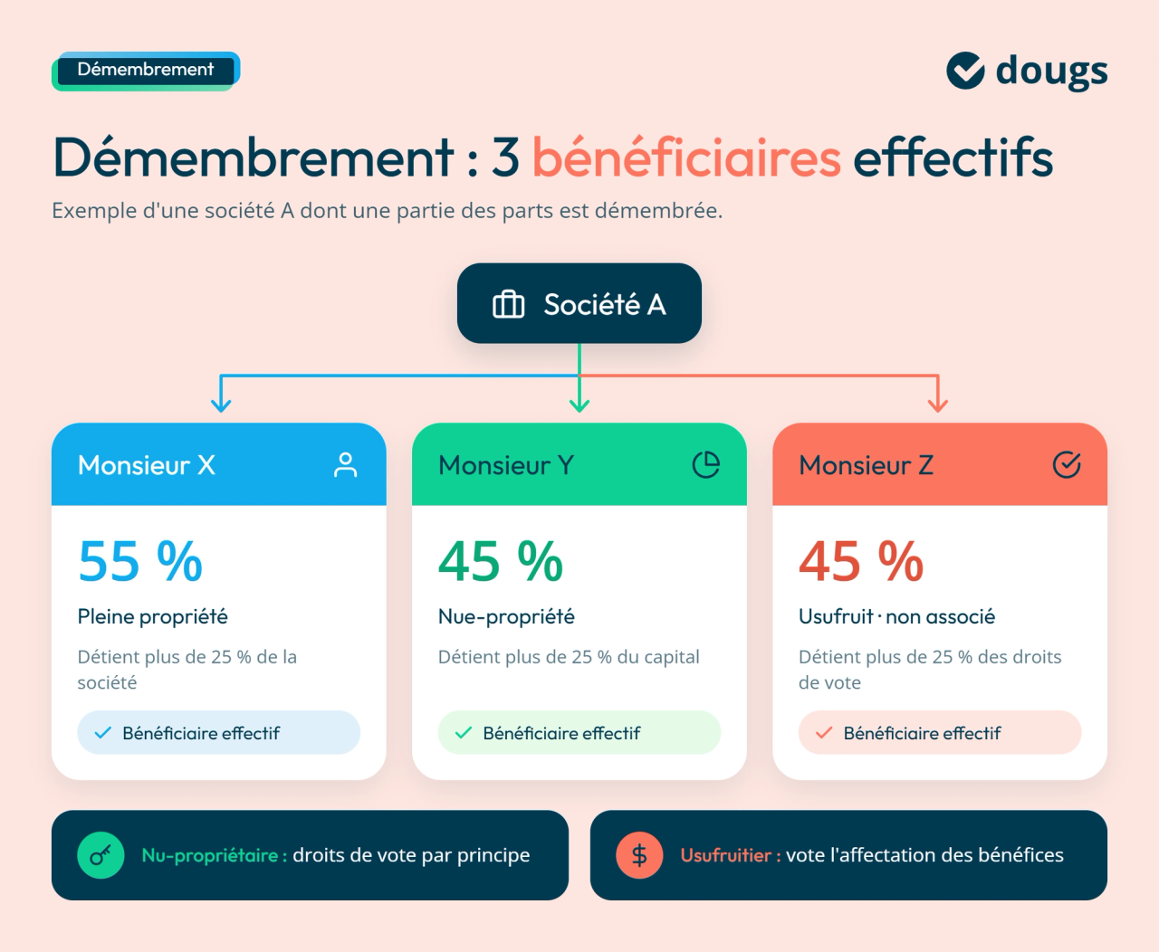 infographie : démembrement