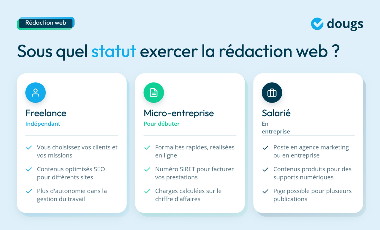 infographie statuts pour exercer comme rédacteur web