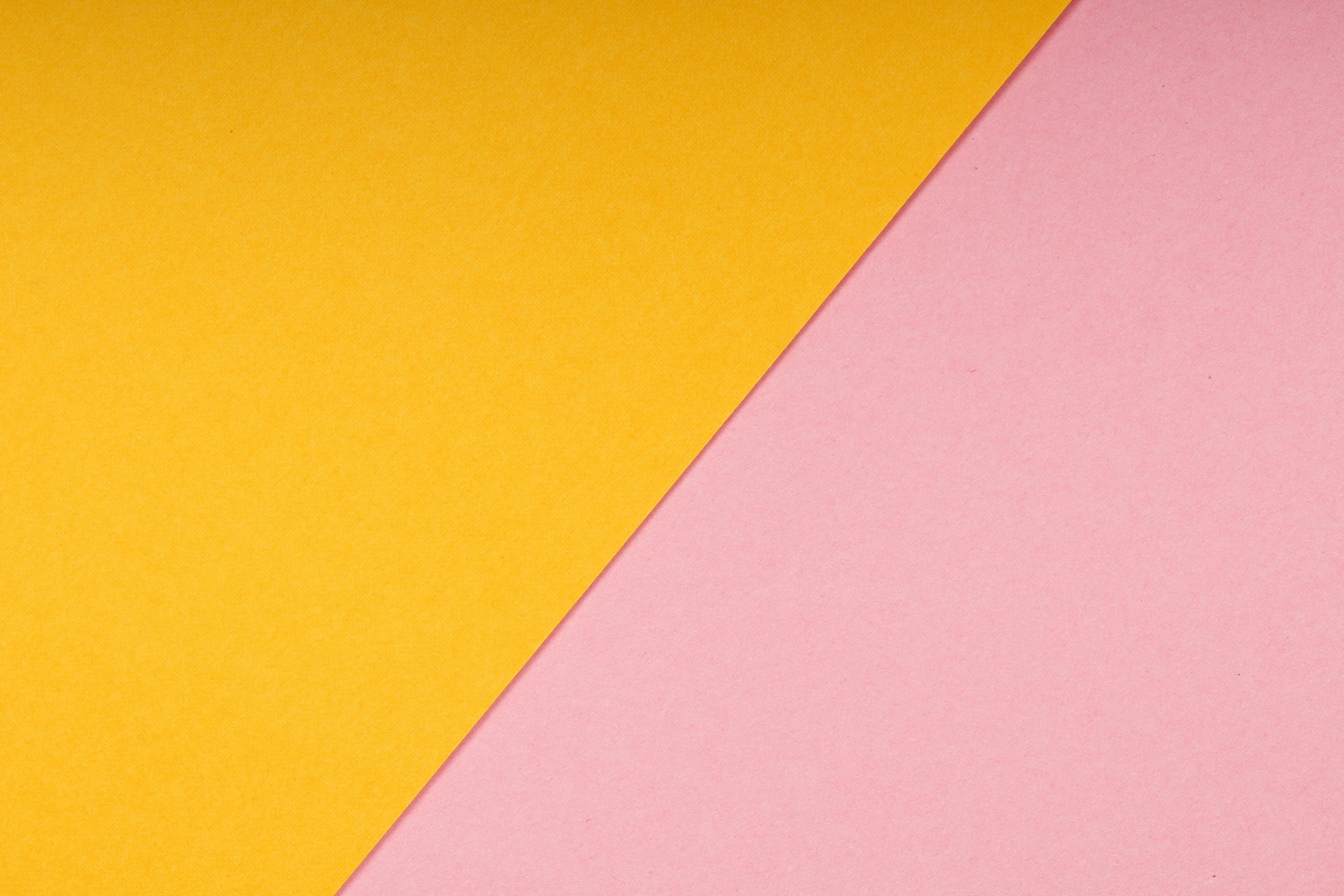 SASU ou SARL : quel statut est le plus adapté en 2026 ?