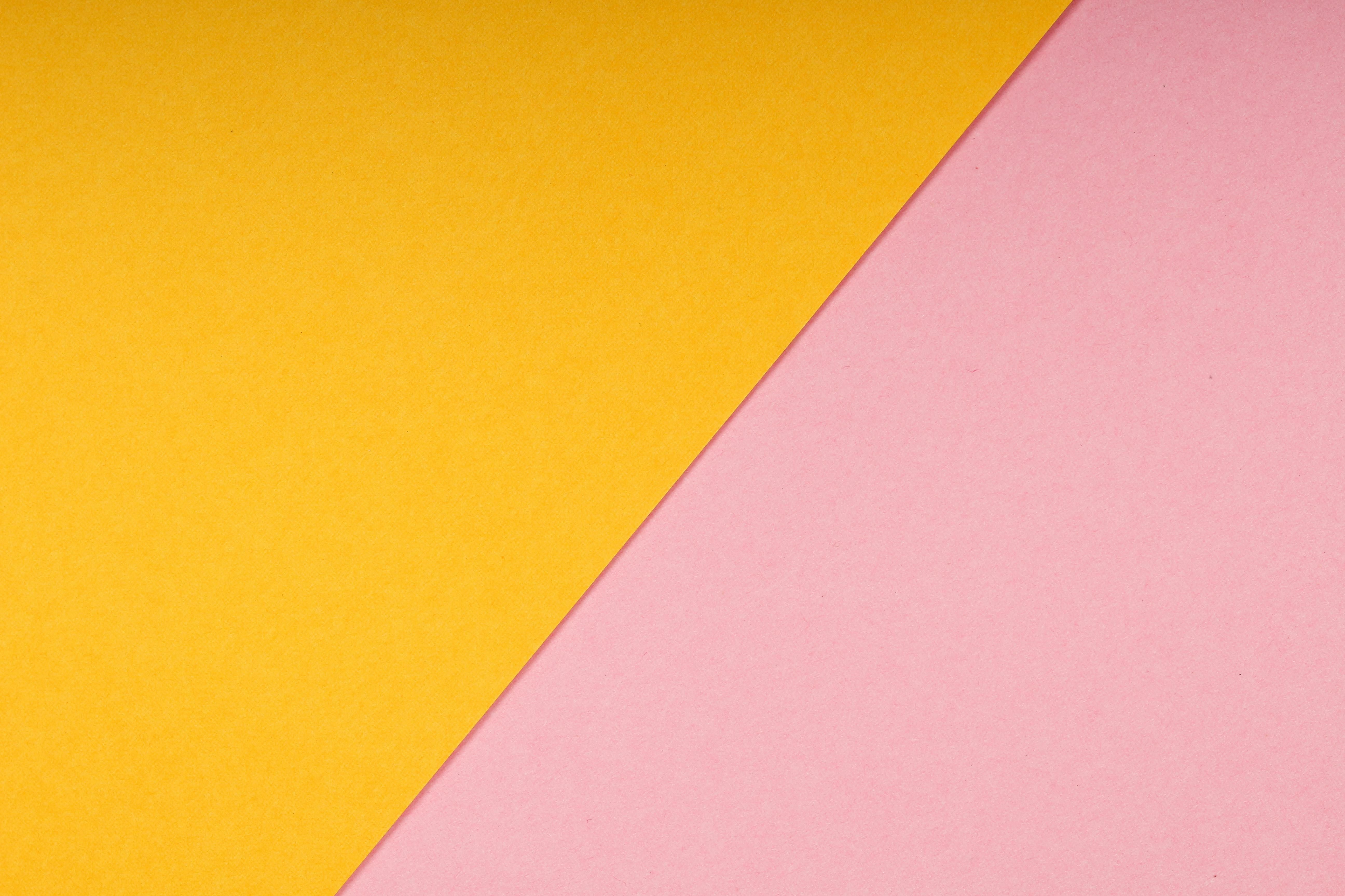 SASU ou SARL : quel statut est le plus adapté en 2026 ?