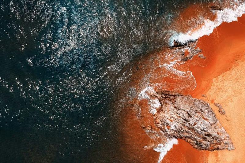 Comment choisir son régime de TVA en SAS ?