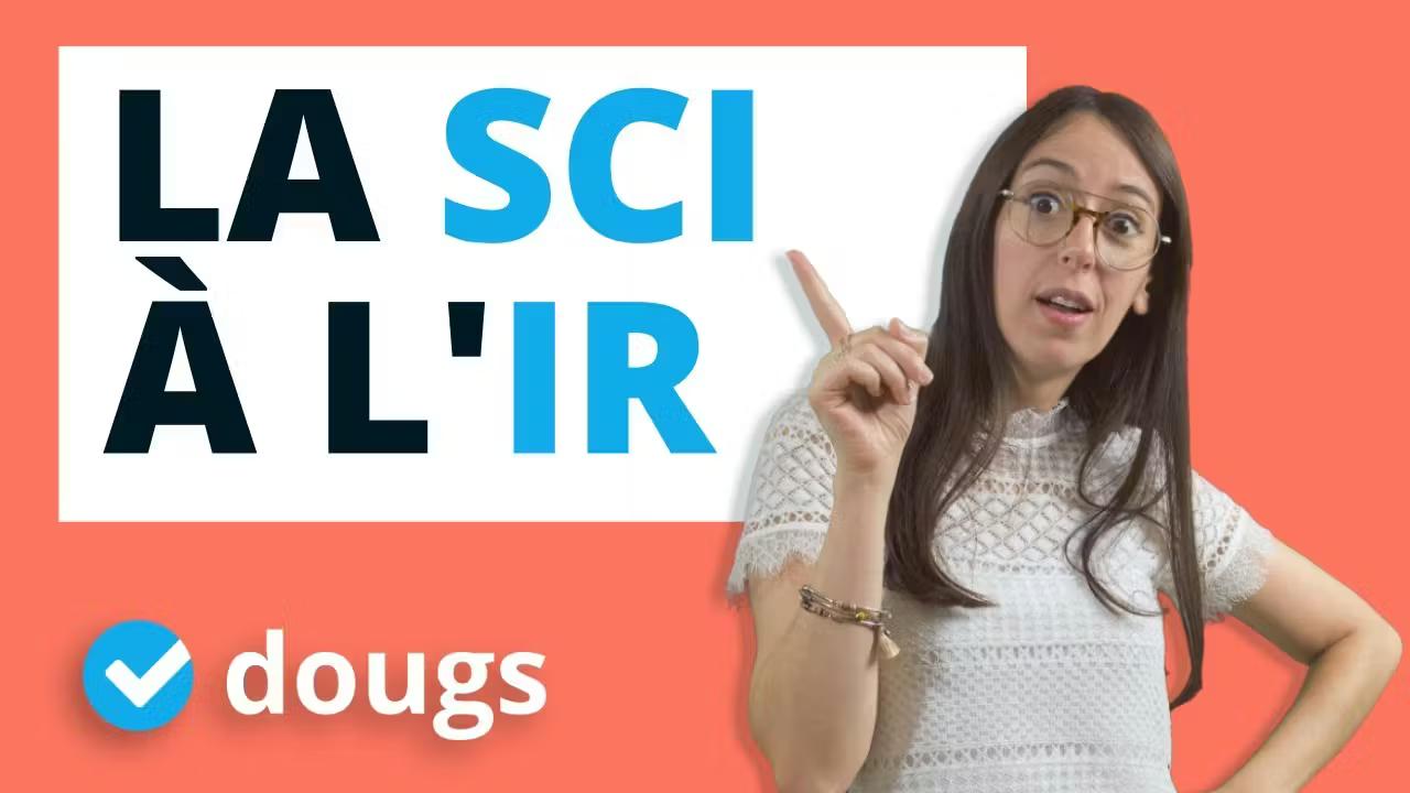 Pourquoi investir dans une SCI à l'IR pour vos projets immobiliers ?