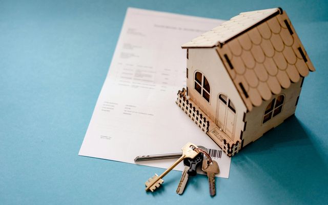 Dévolution successorale : tout savoir sur la succession