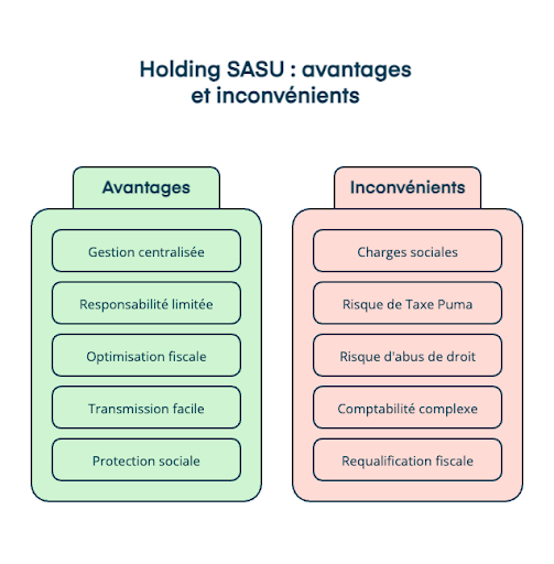 holding-sasu-avantages-inconvenients