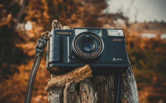 Combien gagne un photographe auteur ?