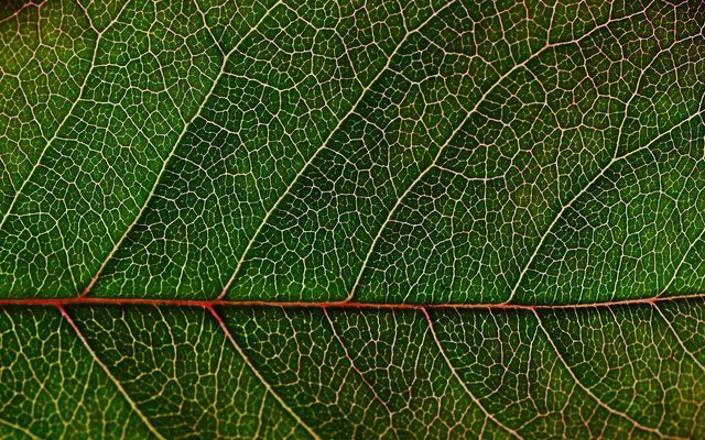 Macro environnement de votre entreprise : comment l'analyser ?