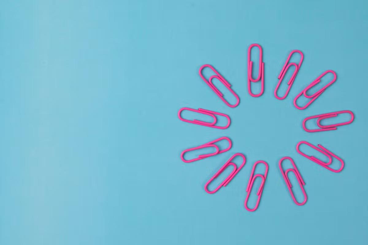 Le statut TNS : comment ça marche ?