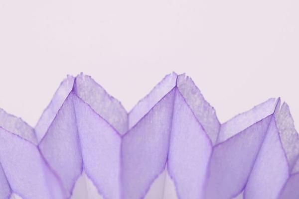 Siège social : qu’est-ce c’est ? À quoi sert-t-il ? Comment en créer un ?