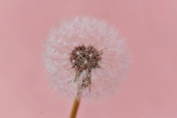 Expert-comptable à Tremblay-en-France : à qui faire appel ?