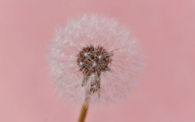 Expert-comptable à Tremblay-en-France : à qui faire appel ?