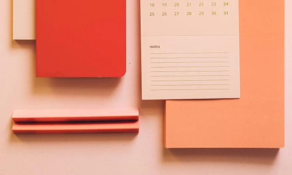 Formation : comment optimiser votre rémunération de dirigeant SARL/EURL  ?