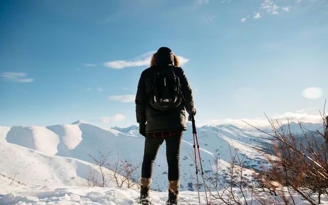 Micro-entrepreneur, SASU ou portage salarial : quel statut choisir ?