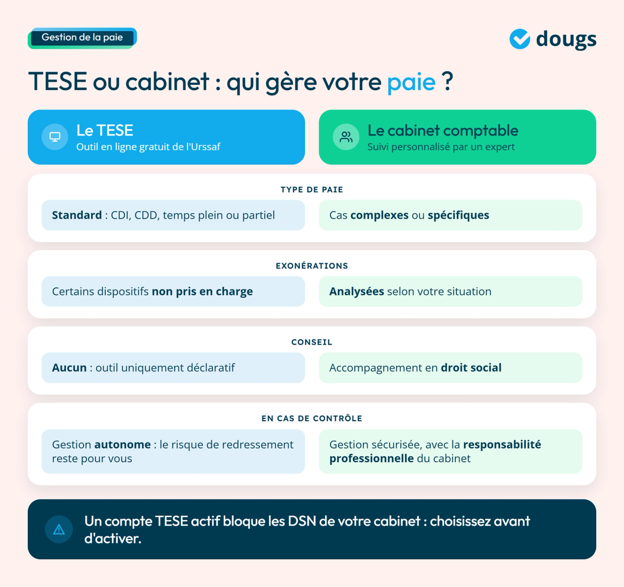 Infographie TESE ou cabinet comptable : type de paie, exonérations, conseil et contrôle