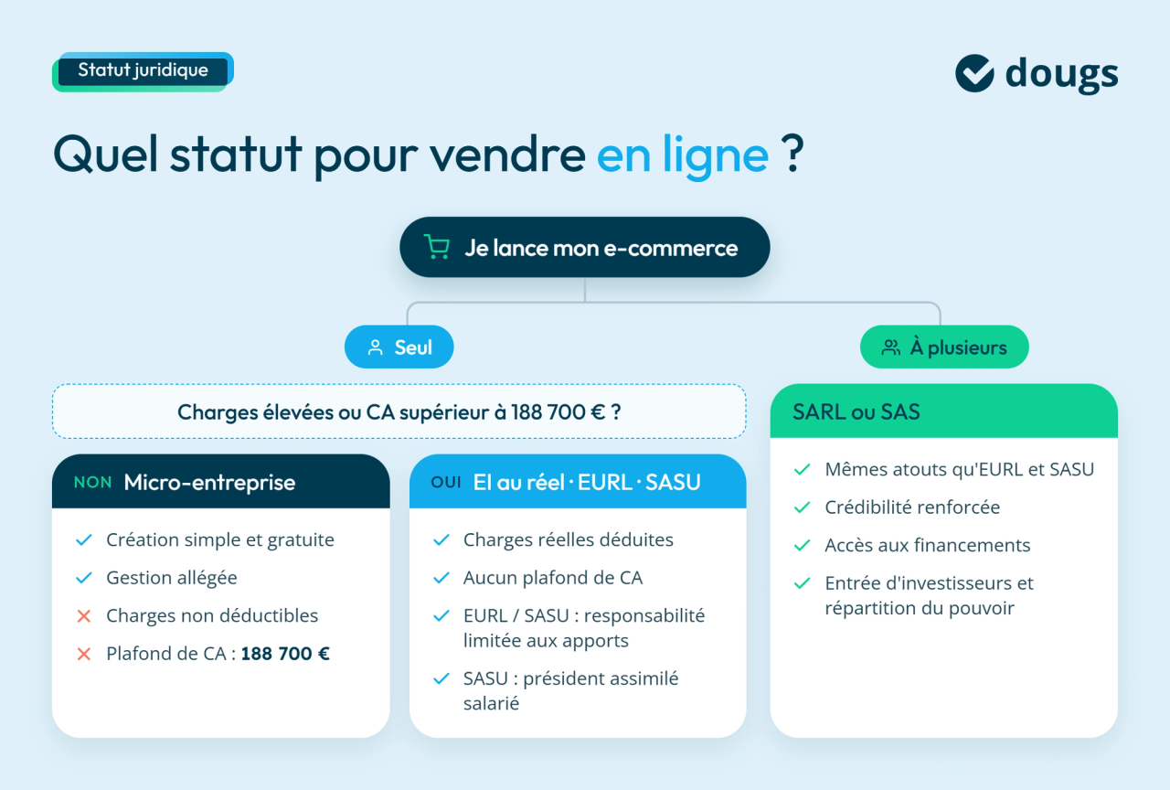 infographie statut juridique pour vendre en ligne