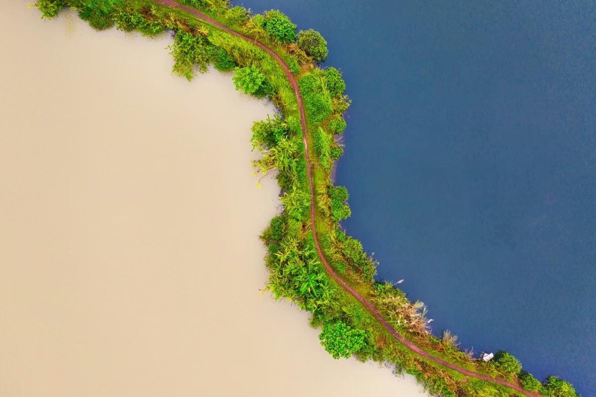 cover-image